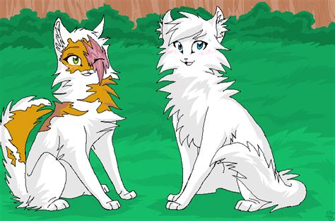 Who Is Your Fave Warriors Couple Part 1 Poll Results Waterclan Warrior Cats Fanpop