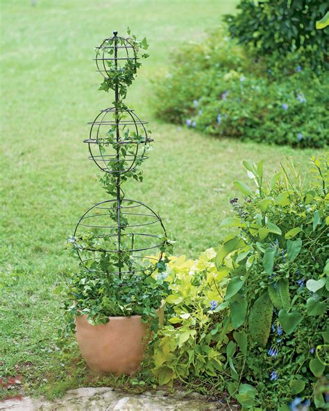 Twist Topiary Frame Topiary Forms Spiral Topiary Wire Frame Live