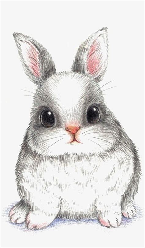 Rabbit Hand Painted Rabbit Cartoon Rabbit Png Transparent Clipart