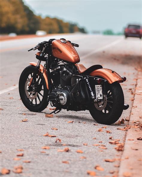 127 280 tykkäystä · 148 puhuu tästä. Michael Johnson on Instagram: "#iron883 #883 #iron883 # ...