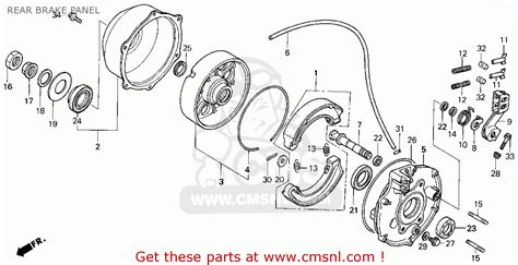 Honda Fourtrax 300 Rear Brake Parts