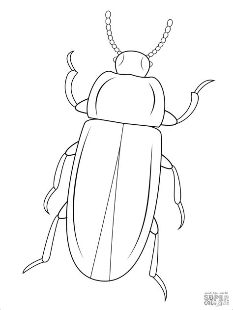 Beetles Coloring Pages - ColoringBay