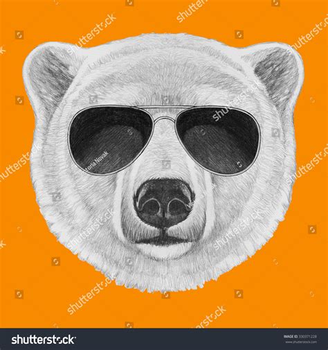 Portrait Polar Bear Sunglasses Hand Drawn Stock Illustration 330371228