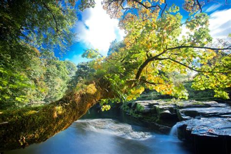 River Rocks Trees Waterfalls Autumn Nature Wallpapers Hd Desktop