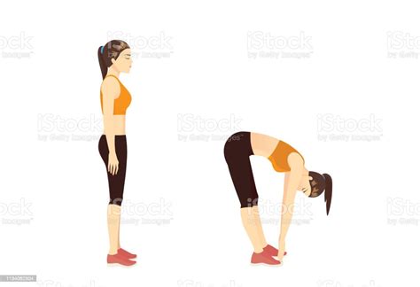 Frau Die Standing Toe Touch Stretches Übung In 2 Schritten Stock Vektor
