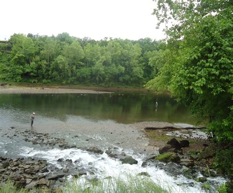 Cabins line the shore of lake taneycomo, providing base camps for those daring enough to take on the changing water currents to reel in prize rainbow and brown trout. 10 best Lake Taneycomo images on Pinterest | Branson ...