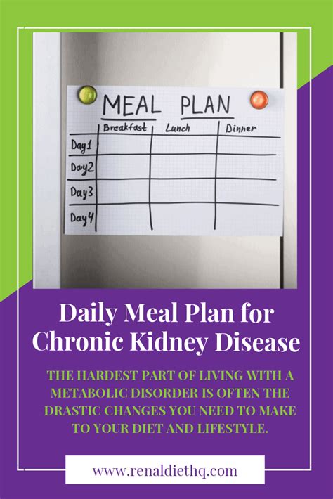 Daily Meal Plan For Chronic Kidney Disease Renal Diet Menu Headquarters
