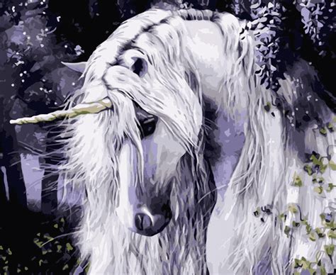 White Unicorn Animals Paint By Number Painting By Numbers