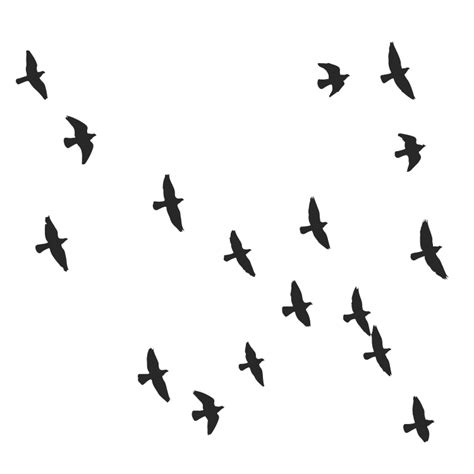 Flock Of Birds Flying Free Svg Files Svg Png Dxf Eps