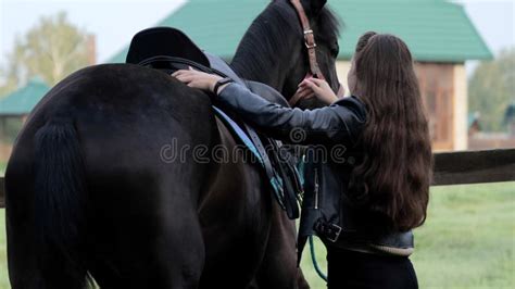 Preparing For A Horseback Ride Saddling A Horse By A Young Woman Stock