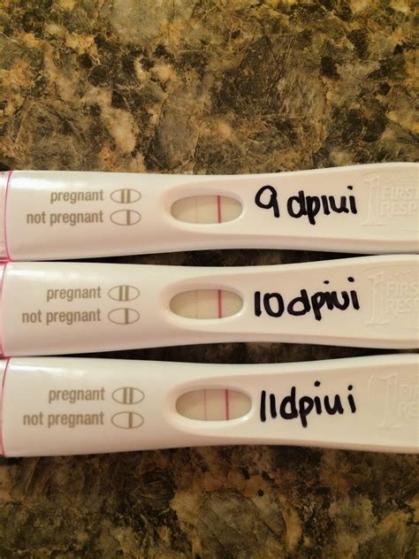 Can I Take A Pregnancy Test 10 Days After Ovulation Pregnancywalls