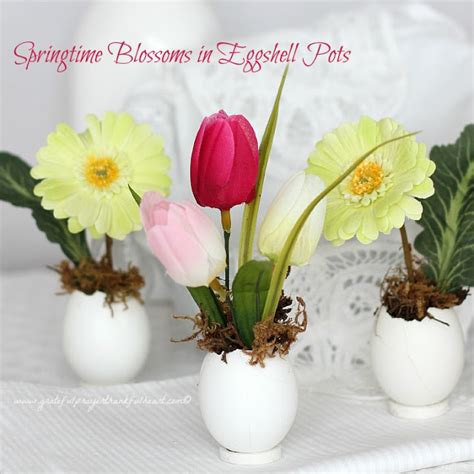 Springtime ~ Easter Flowers In Eggshell Pots Grateful Prayer