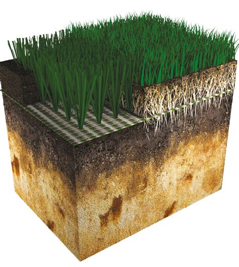 Xtremegrass Woven Hybrid Sports Field Act Global