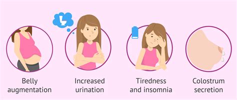 Symptoms In The Second And Third Trimester Of Pregnancy