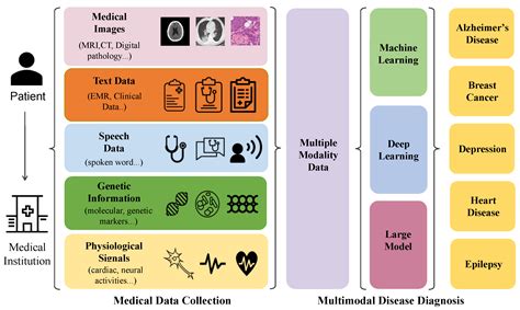 Bioengineering | Free Full-Text | A Comprehensive Review on Synergy of