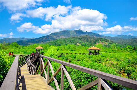 Wisata Hutan Mangrove di Jawa Timur yang Instagram-able
