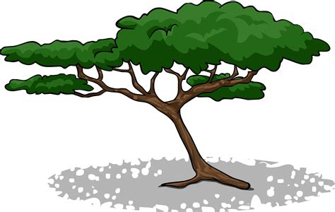 Clipart tree september, Clipart tree september Transparent FREE for download on WebStockReview 2020