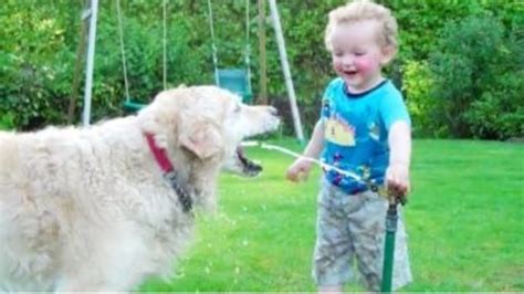 Funniest Kids And Animals Playing Together Compilation 2020 Kids And