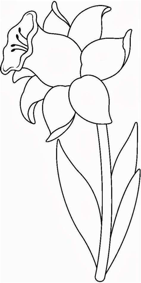 Mewarna Gambar Bunga Lili Belajar Menggambar Dan Mewarnai Bunga