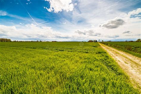 Country Road Running Through Green Fields Stock Image Image Of