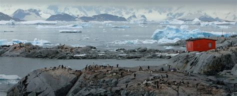 Geodyssey Antarctica The Antarctic Peninsula