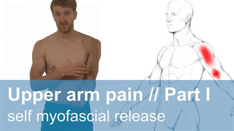 Muscle Pain In The Upper Arm Part 1 Self Myofascial Release Youtube