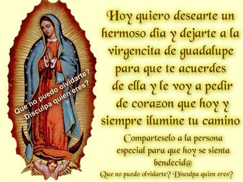 Virgencita De Guadalupe Prayers Sandoval