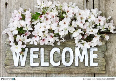 Flower Welcome Pictures Images Dreamfanfictiononedirection