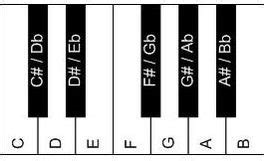 Casio hat auch digitalpianos mit 88 tasten, zudem haben die 61 oder 76er klaviaturen eher leichtgewichtete tasten denn eine hammermechanik mit voller klaviertastatur. Klaviertastatur Beschriftet Zum Ausdrucken