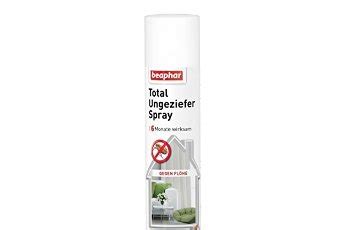 Die wohnung mit flohspray einsprayen: Katzenflöhe - Gefährlich für den Menschen?