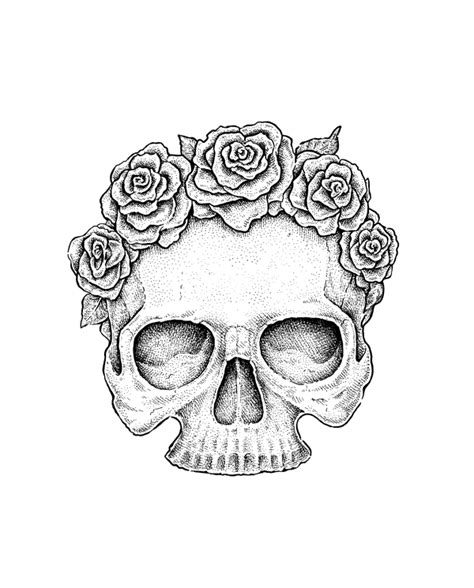 Mother cat teaches her kittens. Use Ink Liners to Create a Skull and Roses Drawing