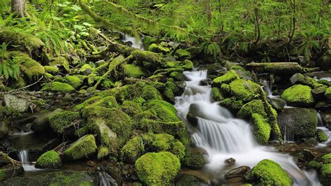 Nature Landscapes Waterfall Rocks Moss Rivers Stream