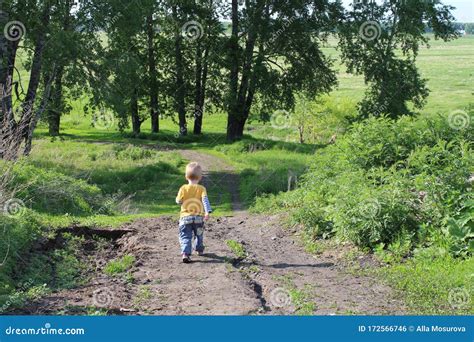A Small Child A Boy Goes Alone Into The Forest On The Road In The