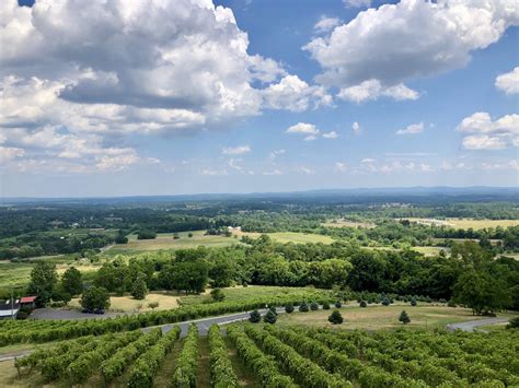 DC's Family-Friendly Wine Country: Loudoun County - Vagamom
