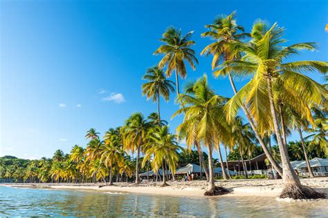 Check spelling or type a new query. Best Things to Do in Guadeloupe, French Antilles - France ...