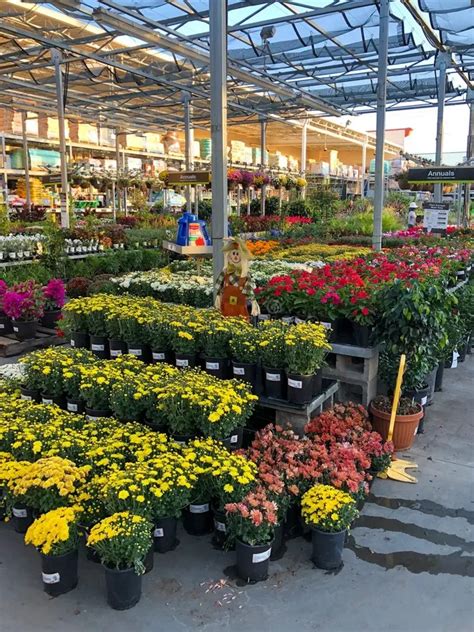 Review Of Home Depot Garden Center Flowers 2022