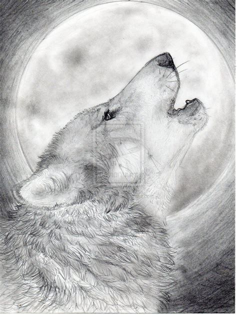 Wolf Drawings Howling Mewarnai Wolf Drawing Wolf Head Drawing