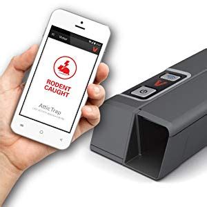 Clean kill pest control, inc. 5 Best Electric Mouse Traps - Find the Traps That Really Work