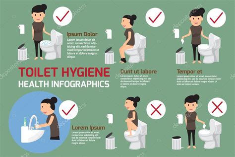 Infografía Higiénica Del Inodoro Tenga En Cuenta El Uso Del Baño