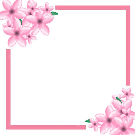 Sakura Pink Frame Sakura Flower Cherry Blossom Sakura Png And Vector
