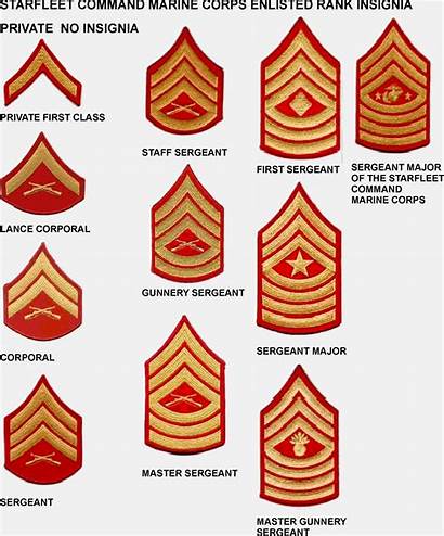 Marine Corps Rank Enlisted Insignia Military Skynet