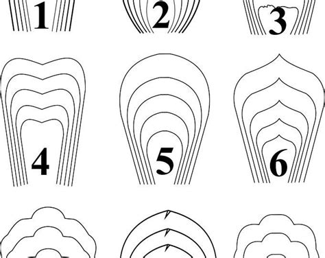 Download Paper Flower Template with Video Instruction, PDF and SVG ...