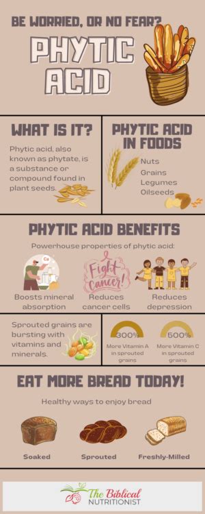 Phytic Acid In Bread Grains And Beans Be Worried Or No Fear