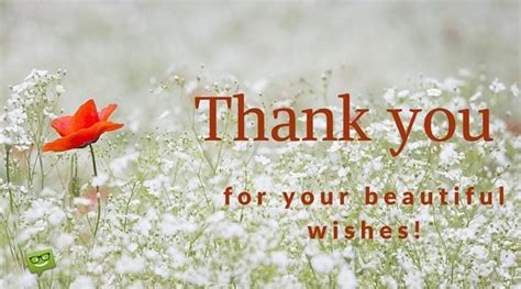 Thank You Images Pictures To Help You Express Your Gratitude In 2020