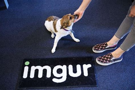 At Imgur Office In Sfs Jackson Square Image Is Everything San