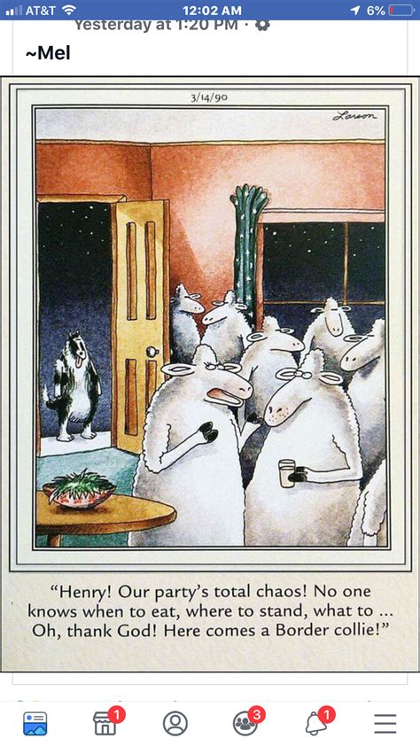 Pin By Donna Mcduffie On Funnies Gary Larson Cartoons The Far Side