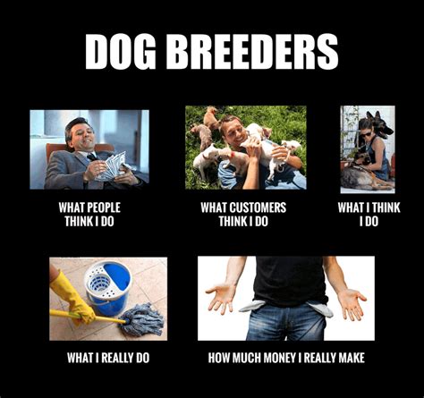 Crying cheems memes use two members of the doge meme family to represent one thing that is strong and one. 7 Reasons Why Breeding Dogs Is HARDER Than You Think
