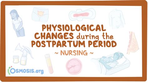 Physiologic Changes Postpartum Nursing Osmosis Video Library