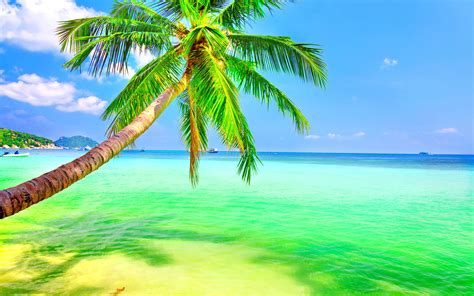 Tropical Paradise Desktop Background