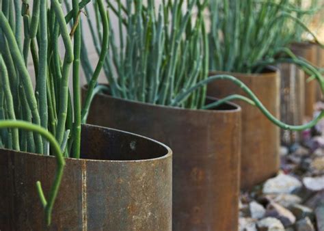 Since 1971, mike wachs construction company has built many of the finest custom homes in southern arizona. repp residence, tucson - lady's slipper in metal planters ...